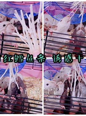 仓鼠 花枝鼠 金丝熊 蜜袋鼯 通心粉鼠沙鼠营养泰国鳕鱼条补充蛋白