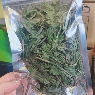 鼠宝 降暑 花枝鼠仓鼠兔兔豚鼠龙猫 清热 烘干蒲公英10g 上火