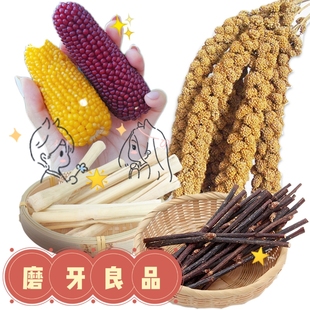 迷你水果小玉米磨牙棒 谷穗苹果枝甜竹仓鼠花枝鼠兔熊仔磨牙零食