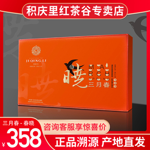 【现货】2025明前春茶积庆里三月春春晓英红九号英德红茶有机红茶