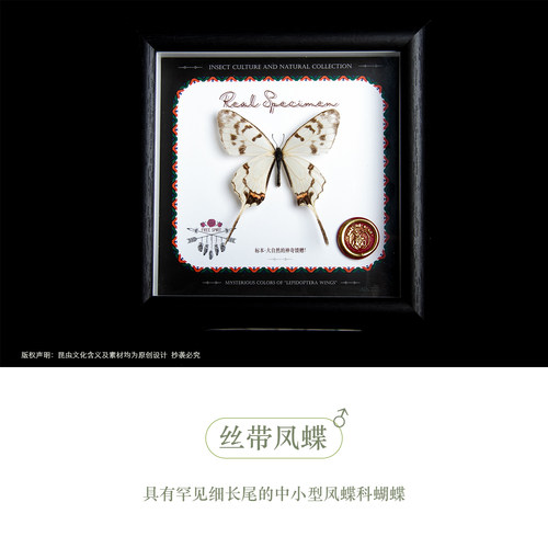 暗溪色蟌真蝴蝶标本装饰画礼物