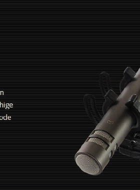 德国 Microtech Gefell M300小振膜录音室话筒