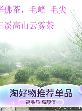 2026年九华山云雾茶叶绿茶浓香型高山野生产地佛茶正宗黄石溪名茶