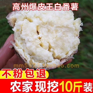 新鲜茂名高州爆皮王白番薯农家自种粉糯白心干面地瓜板栗红薯5斤