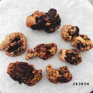 云南黑果木树瘤手把件天然疙瘩长寿木按摩文玩收藏把玩山茶木树根