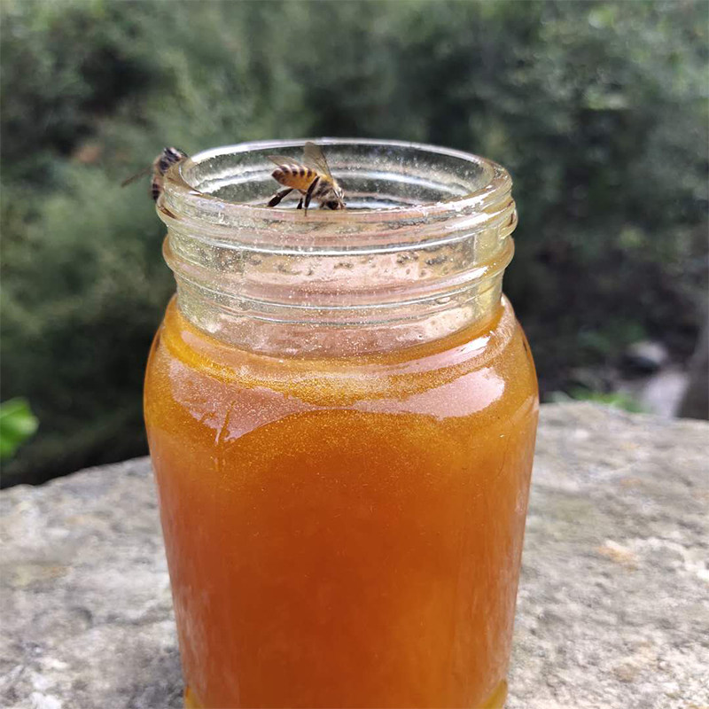 神农架天然百花土蜂蜜结晶原蜜农家深山自产老冬蜜500g