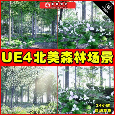 UE4UE5 Northeastern US Plants and Ecosystems 北美森林场景