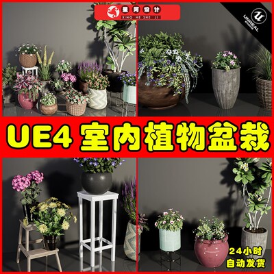 UE4UE5 Plants Vol. 6 ( Flowered Plants ) 写实花草盆栽植物