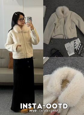 温柔风仿羊羔毛皮毛一体毛领短外套女秋冬保暖显瘦皮草外套