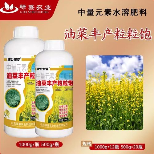 油菜丰产粒粒饱提高出油率促花授粉抗倒伏籽粒饱满油菜专用叶面肥