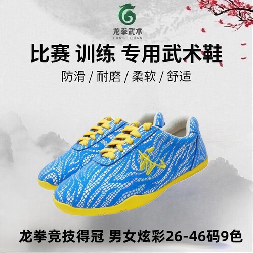龙拳武字刺绣炫彩花皮太极武术鞋