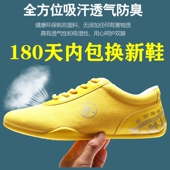 中考运动鞋 龙拳牛筋底太极鞋 男女帆布武馆训练太极拳练功运动鞋