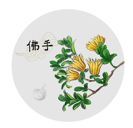 光甘草定精华露及产品合集