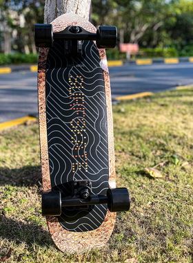 BackWave 31”Golden Surfskate 黑色经典系列陆地冲浪板