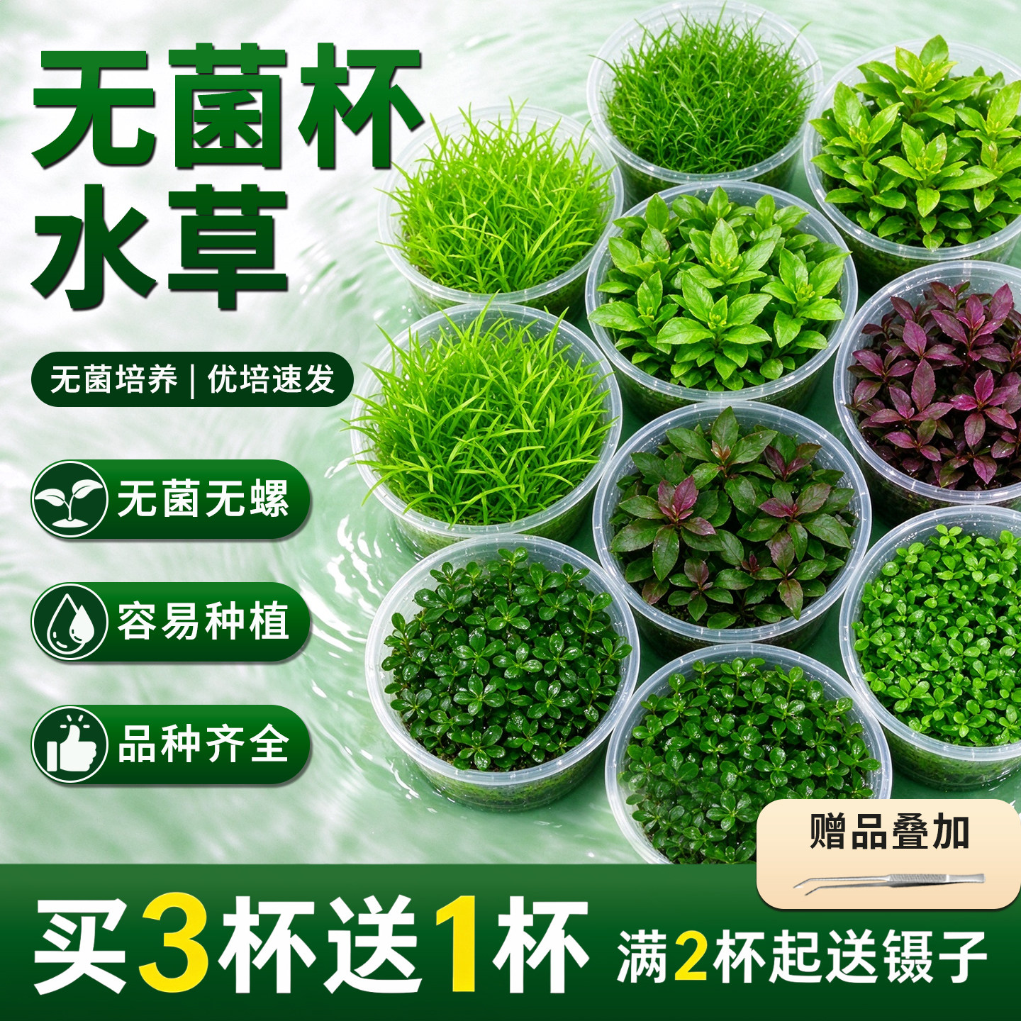 无菌杯水草锦集鱼缸前中后造景珍珠罗贝力绿天湖葵宫廷新手懒人草