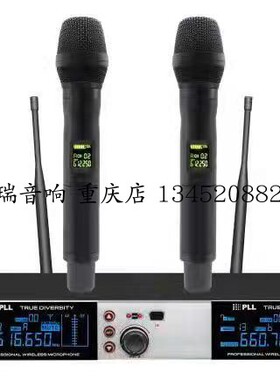 飞普特Paiyermic一拖二U段真分集 PM20D 无线手持会议领夹头戴麦