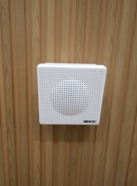 GBS 酷玛M-542 1-3瓦 小壁挂喇叭  ABS材料