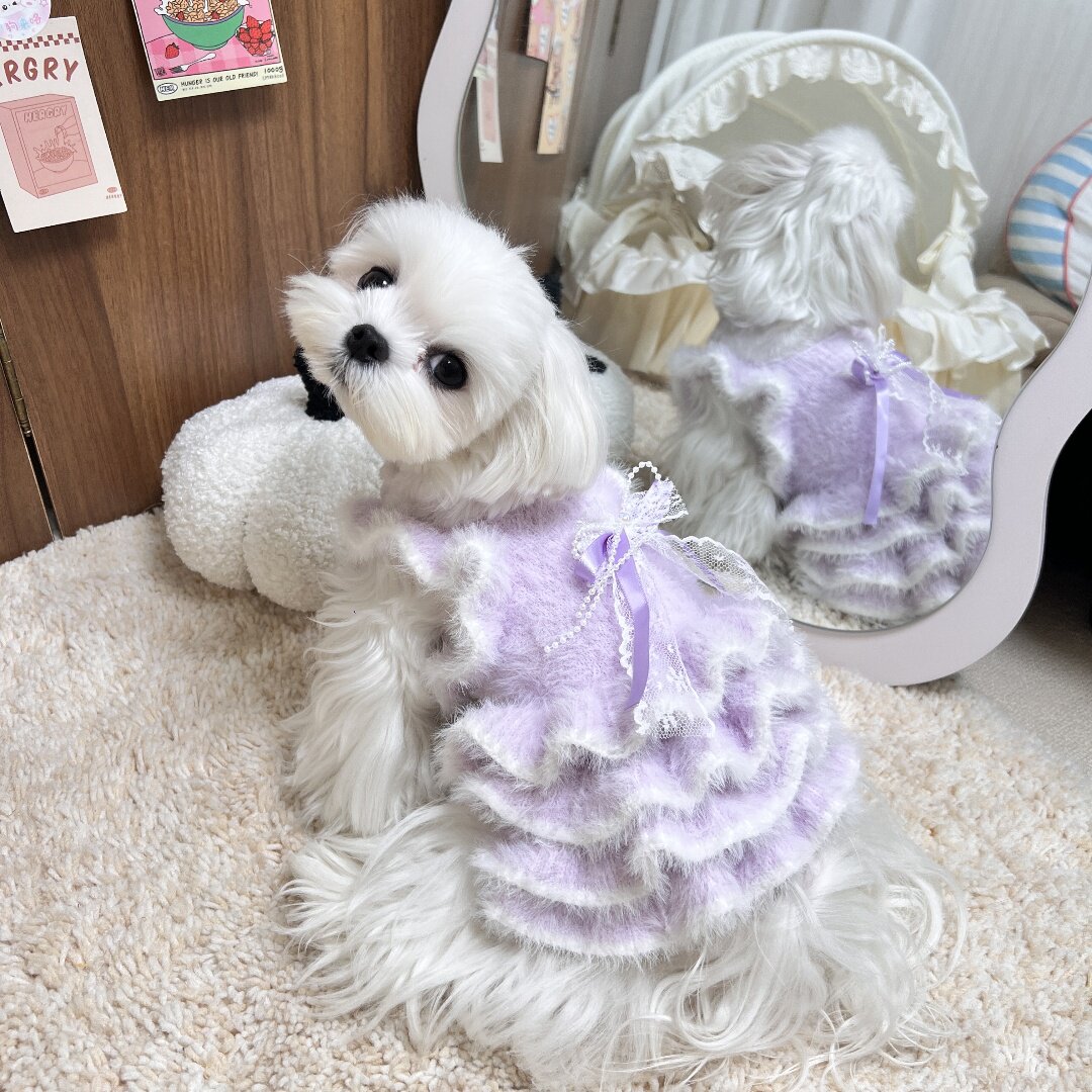 冬季狗狗水貂绒晚礼服公主裙马尔济斯比熊博美约克夏蝴蝶犬吊带裙