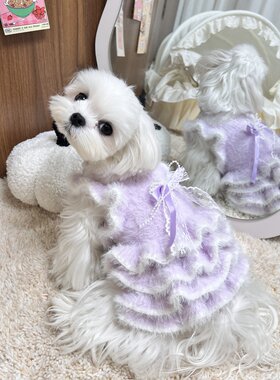 冬季狗狗水貂绒晚礼服公主裙