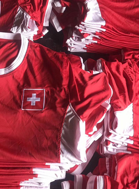 9.9小瑕疵处理 轻薄 速干男子足球短袖 瑞士国家队球迷t恤 球迷衫