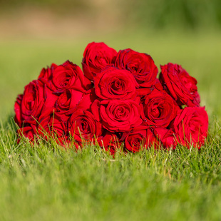 【直播福袋专享】卡罗拉1.2升盆