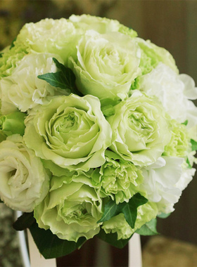 天狼月季 女士时装 多季开花绿色系大花杂交茶香月季玫瑰花店切花