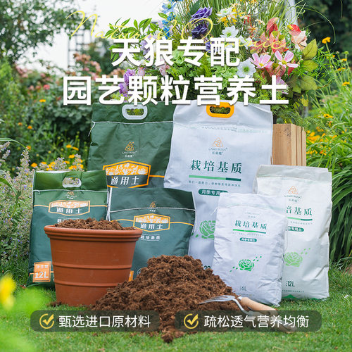天狼月季栽培基质配方土