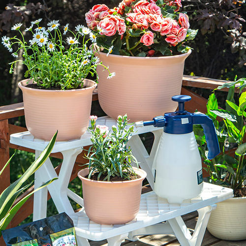 天然绿色环保爱丽思zen彩色花盆