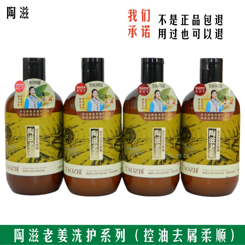 陶滋生姜护发洗发乳调理控油型