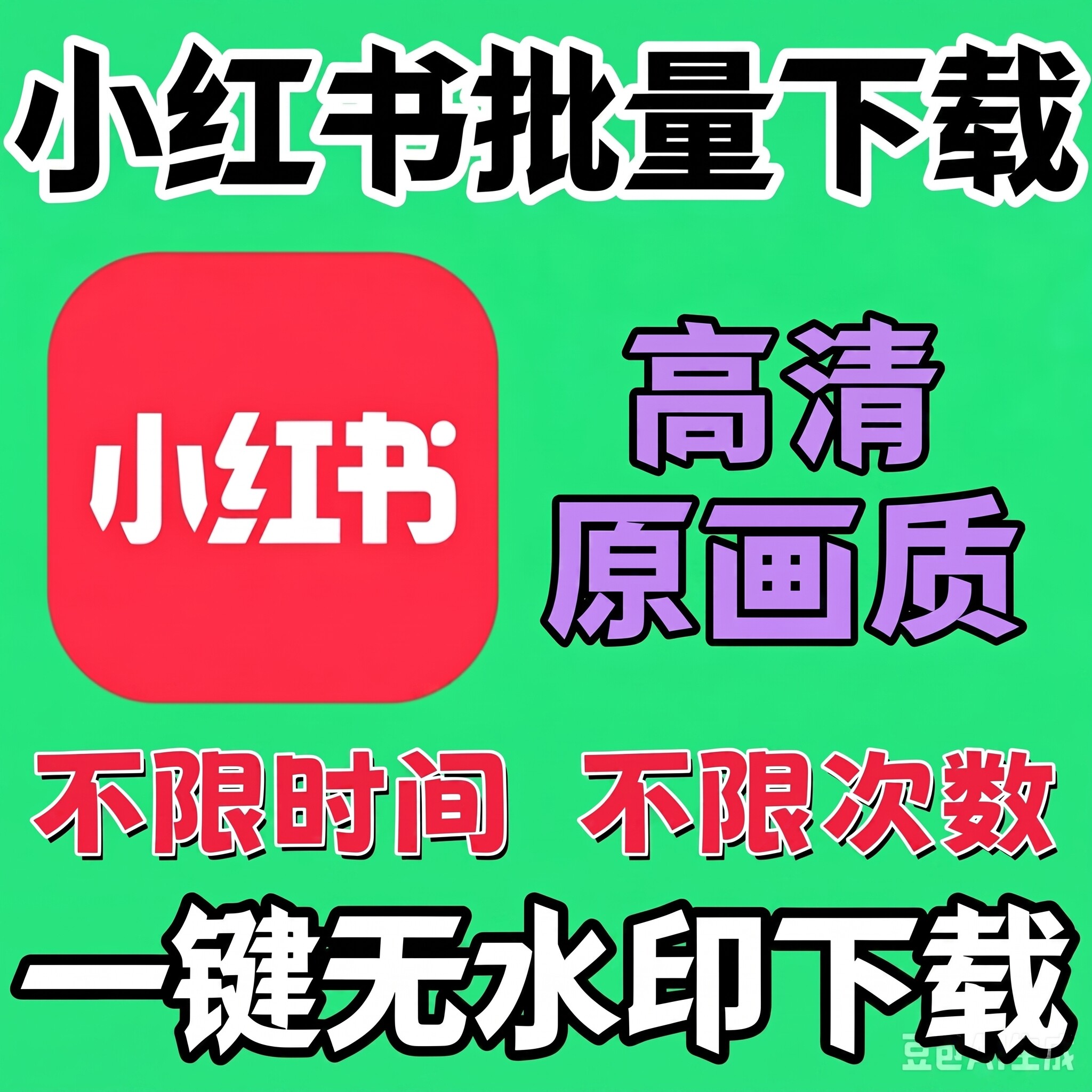 小红书视频图片文案无水印导出下载提取短视频去水印电脑下载软件
