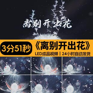 离别开出花歌曲背景伴奏配乐原唱唯美粒子花舞台LED成品视频素材