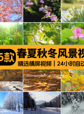 四季植物天气变幻变化季节交替春夏秋冬季抖音高清剪辑短视频素材