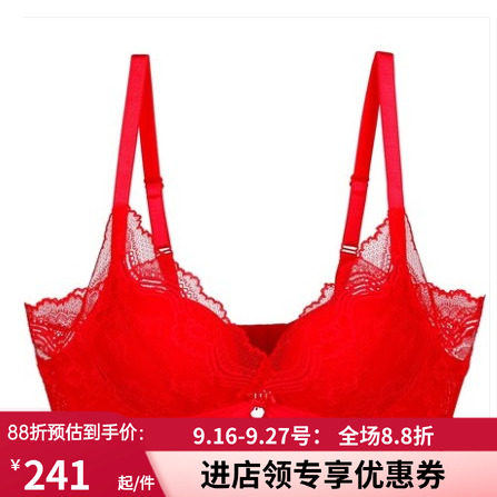 美背性感蕾丝情趣风大胸显小内衣
