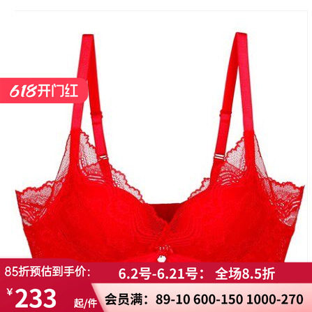 心爱性感薄款胸衣蕾丝内衣女式情趣聚拢文胸大胸显小美背胸罩
