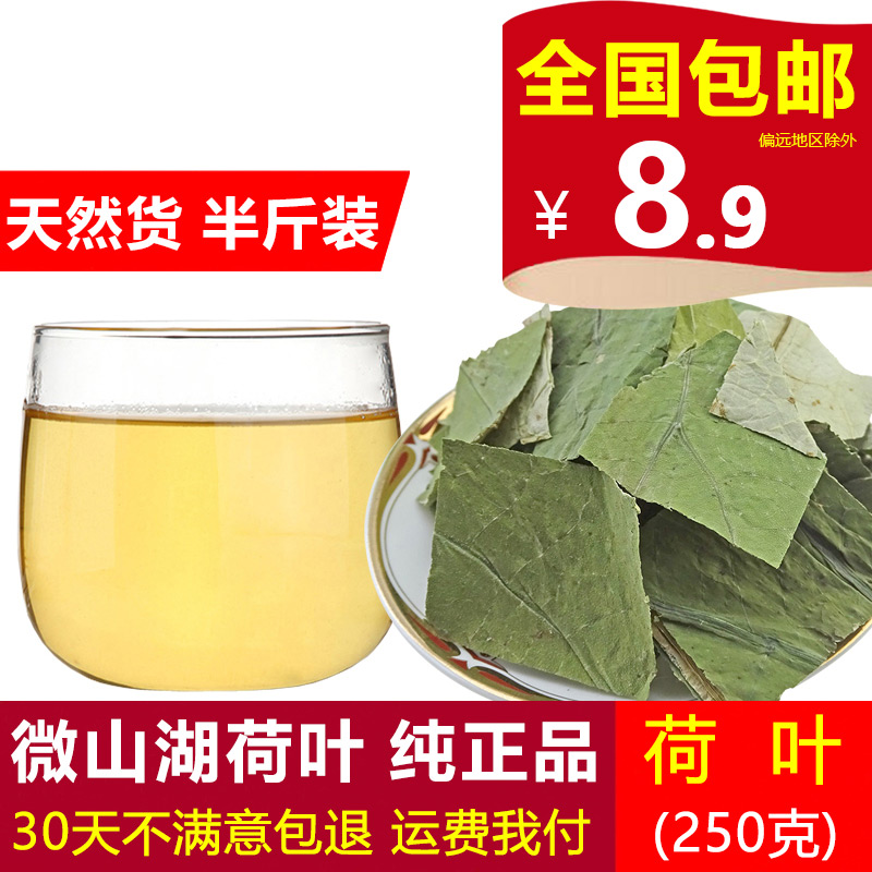 微山湖荷叶茶 干荷叶250g 荷叶茶 荷叶丝 荷叶片荷叶冬瓜茶泡茶