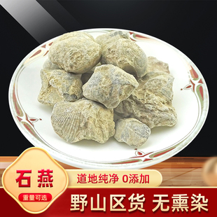大石燕 中药材 天然纯新货 500克 燕子石 水飞石燕 石燕子 石燕