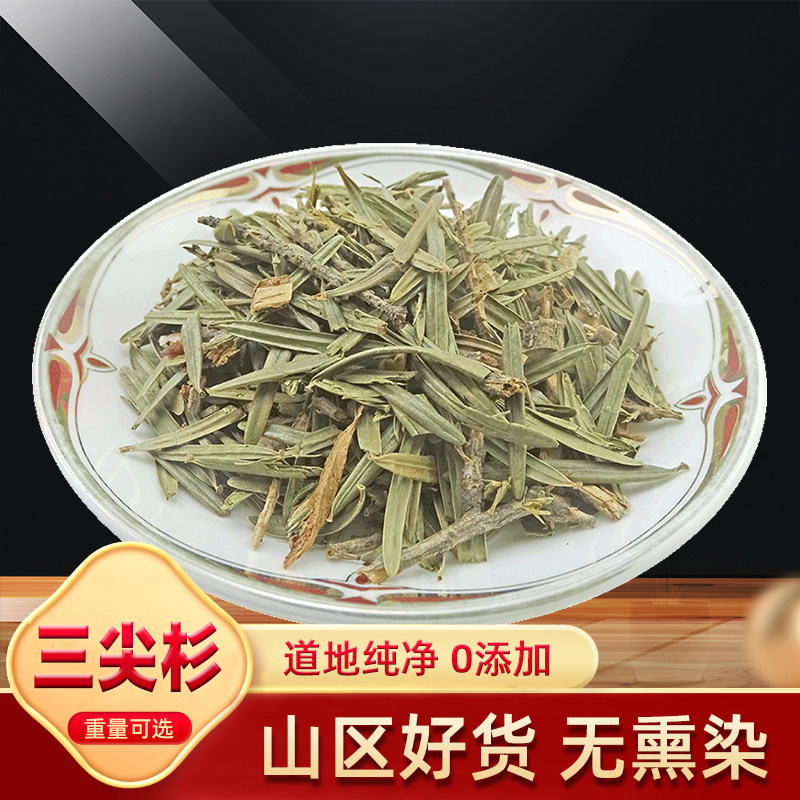 三尖杉 天然纯新货 中药材 榧子血榧石榧水柏子藏杉桃松中草药