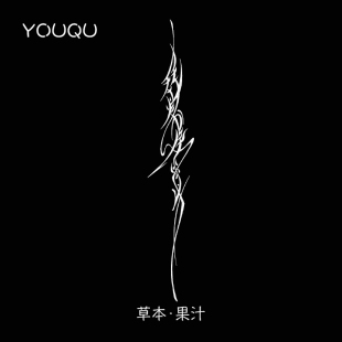 YOUQU女书 追随自己的光 中国风手臂小臂潮流草本纹身贴果汁防水