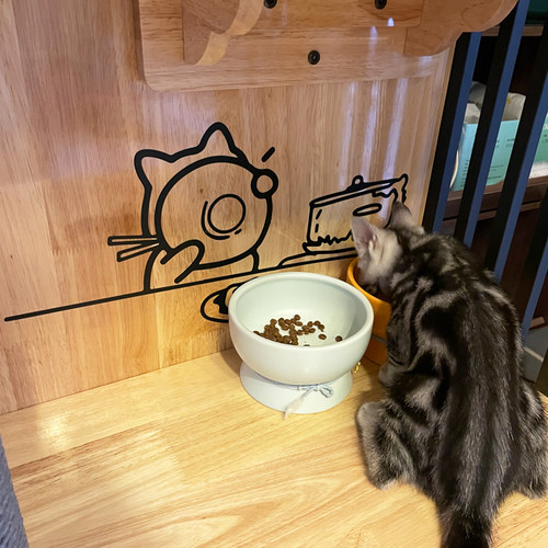 许北生创意可爱干饭猫咪贴纸