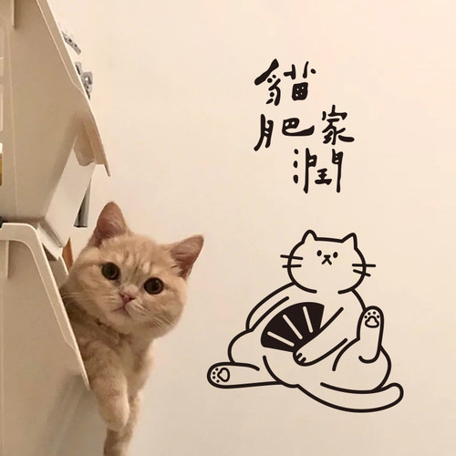 许北生猫肥家润玻璃贴纸