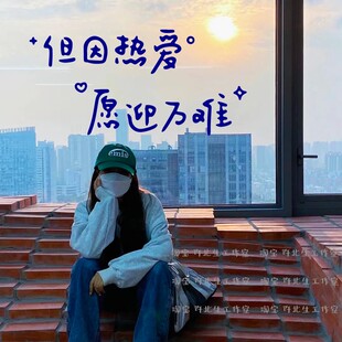 但因热爱愿迎万难文字贴纸 个性励志墙贴可贴玻璃天窗白墙壁 自粘