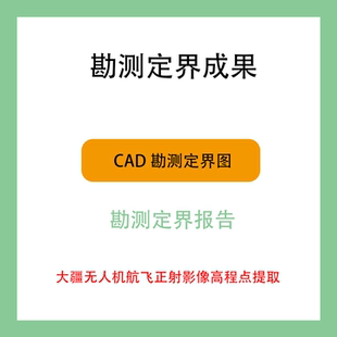 测绘勘测定界图报告土地利用现状图坐标处理无人机航飞数据处理