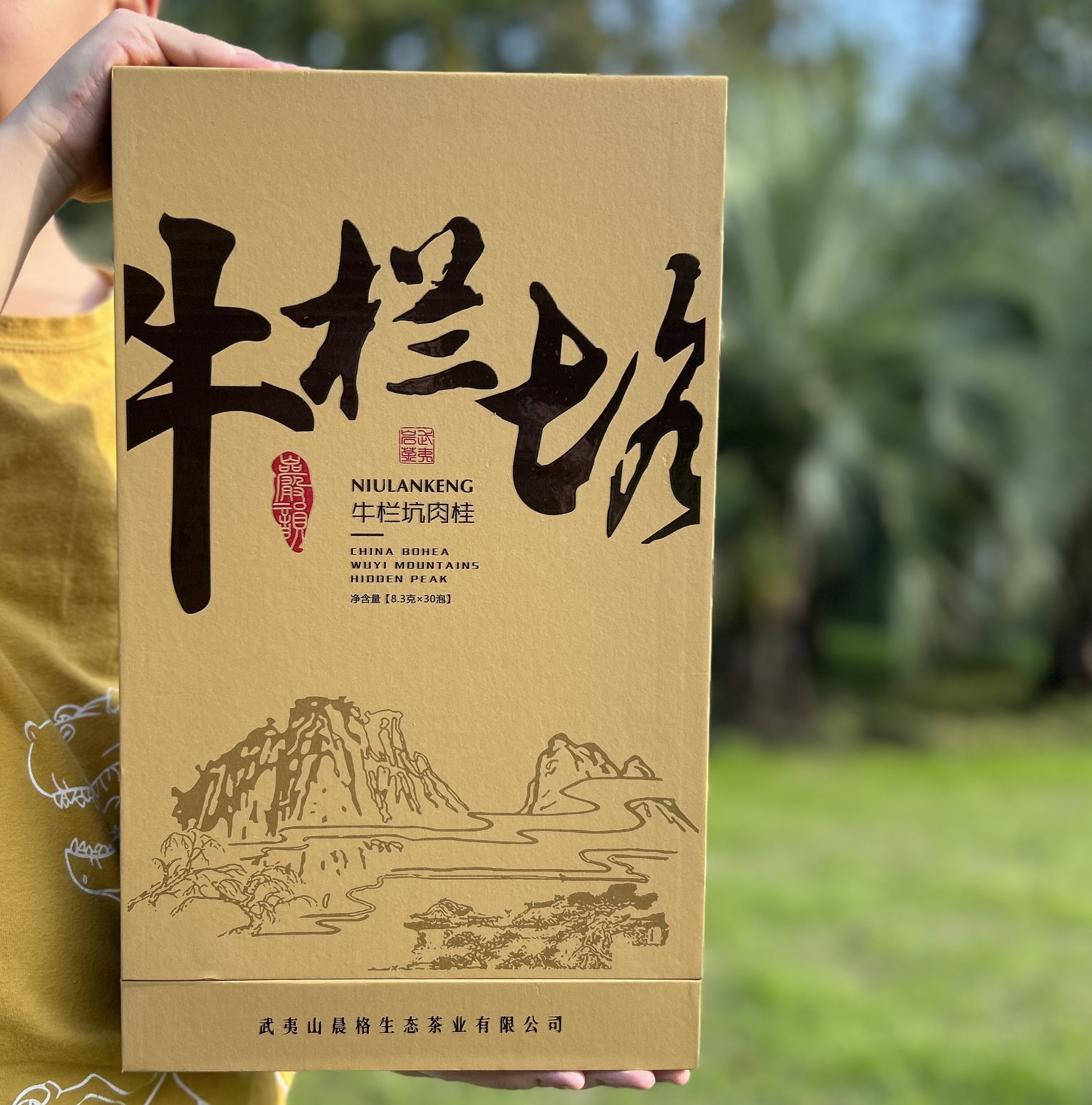 武夷山肉桂茶叶250g 限时折扣 本款限购6盒无赠品