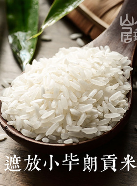 大理山居遮放小毕朗大米贡米云南白米细软米软香当季2025新米散装