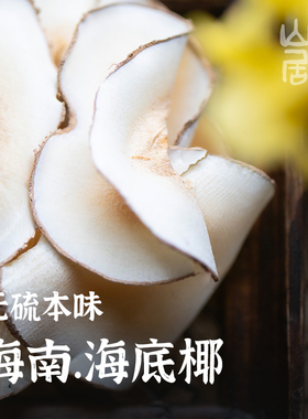 大理山居海底椰干货煲汤无硫原色广式糖水奶香黄色原味原料椰子片