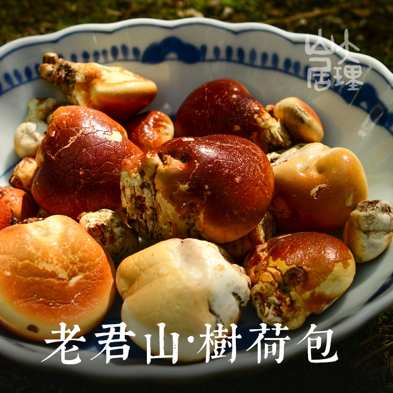 大理山居老君山树荷包云南菌菇须元果隐孔菌干货干果云南特产