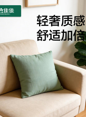 夏凉抱枕沙发客厅轻奢高级现代简约A类母婴级抱枕竹纤维一套靠背