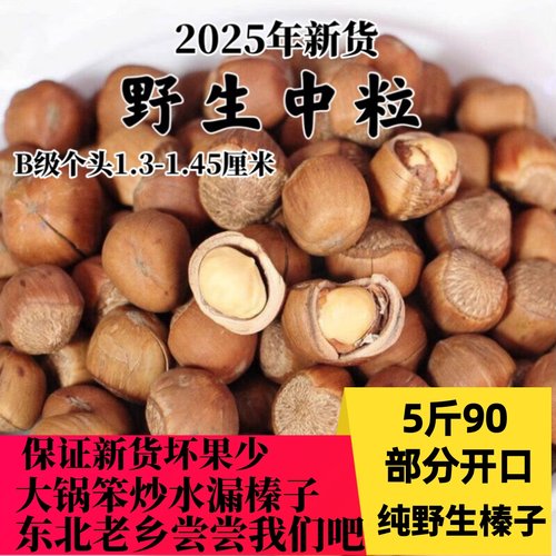 2025新货野生山榛子东北特产铁岭开原水漏手拍榛子产地直销中粒