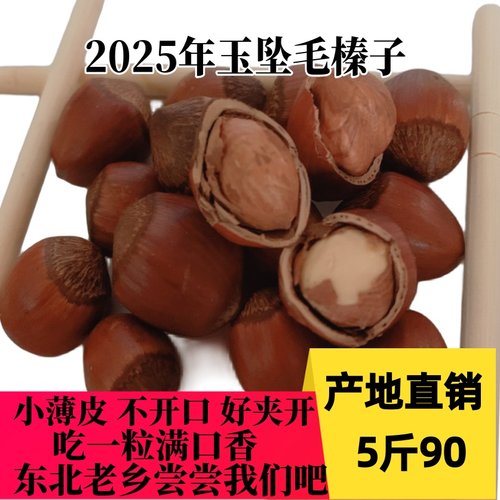25年新货玉坠榛子东北特产铁岭开原大个毛榛子薄皮铁锅炒熟不开口
