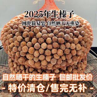 榛子2025年新鲜铁岭开原生榛子自然晒干山榛子无漂染原味生批发